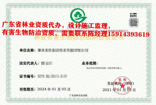惠陽區林業規劃設計資質認證要求的條件和要求