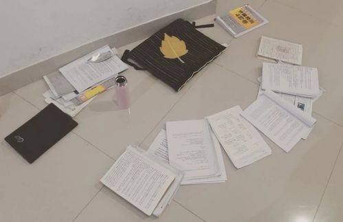 曲阜師范大學 環(huán)藝設計 初試總分402,理論150滿分學姐 風暴設計教育