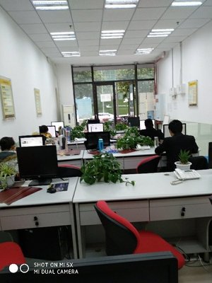 重慶美聯營銷策劃約克郡三咨詢服務部